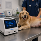 Hoëk VET-IF 2 — Veterinary Immunofluorescence Analyzer (Tests for Canine Pregnancy & Progesterone)
